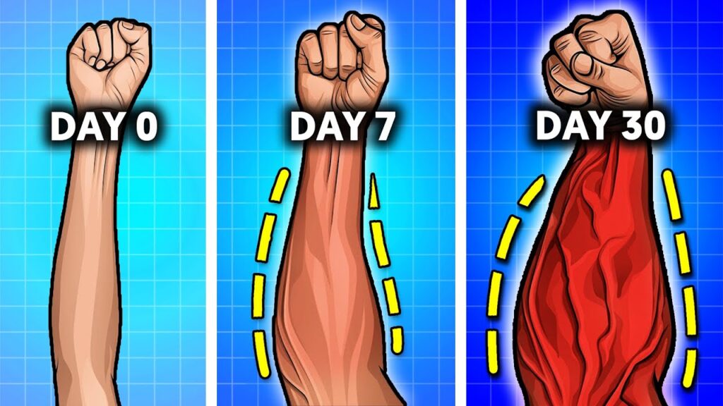 20 Best Exercises to Achieve Thick, Veiny, Stronger Forearms