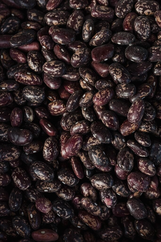 Overhead view of dried speckled beans