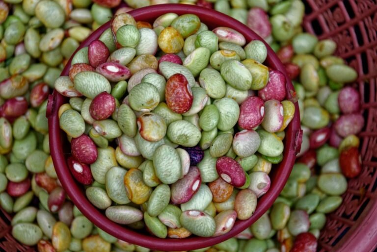 Close-up of red and green kidney beans in a woven basket